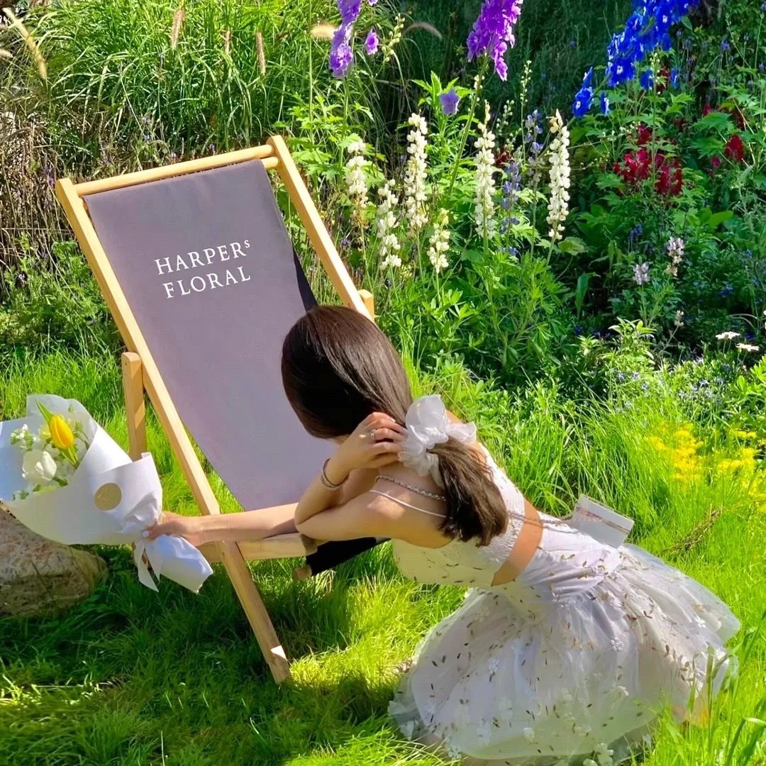 汪汪队立大功第九季